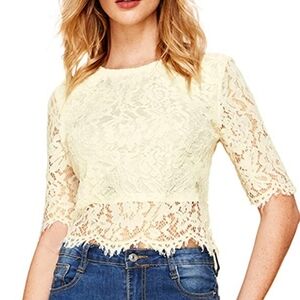 Chiciris Beige Short Sleeve Sexy Sheer Mesh Lace Crop Top Blouse Size Women 2X
